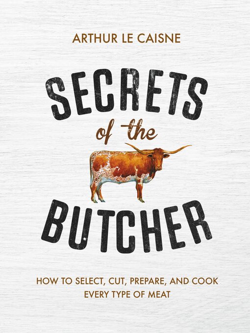 Title details for Secrets of the Butcher by Arthur Le Caisne - Available